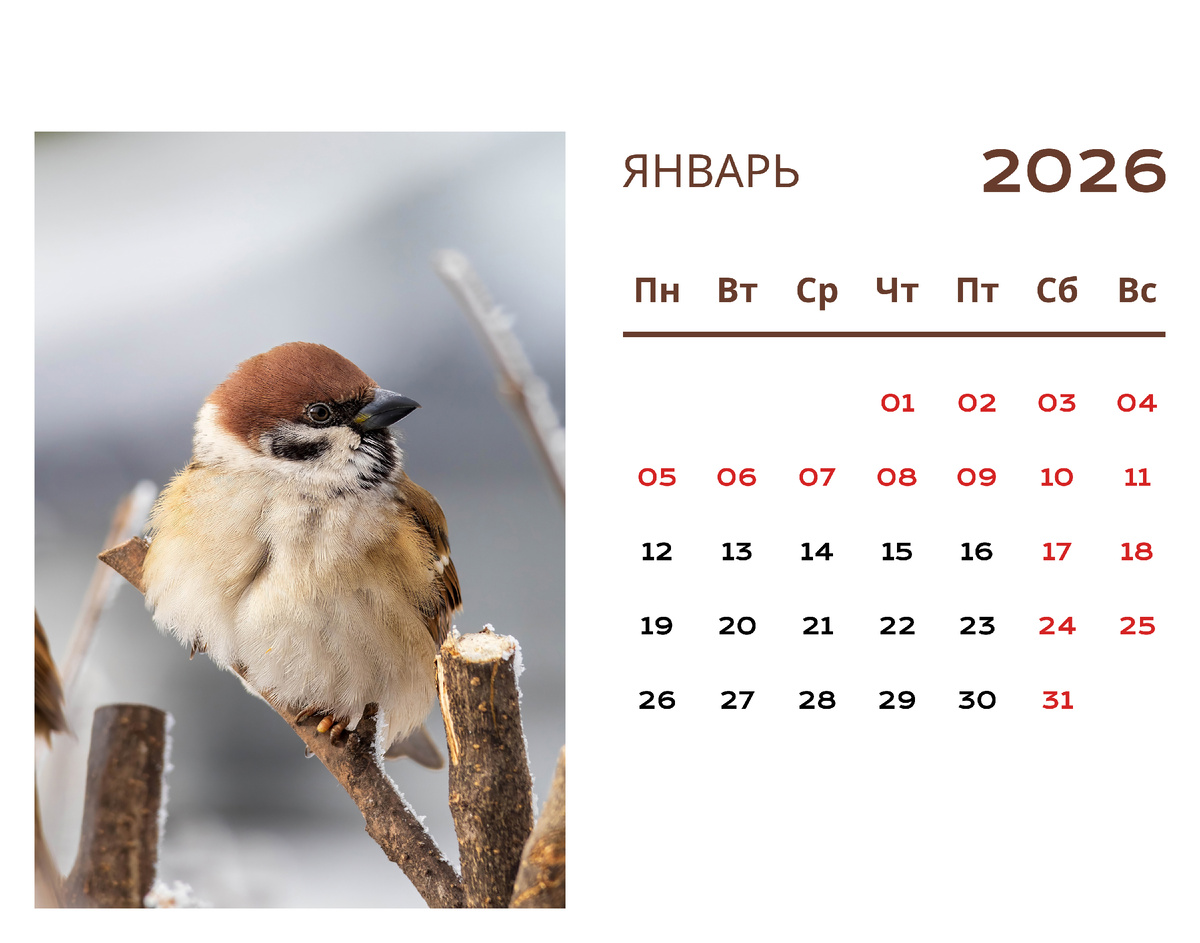 Календарь автора