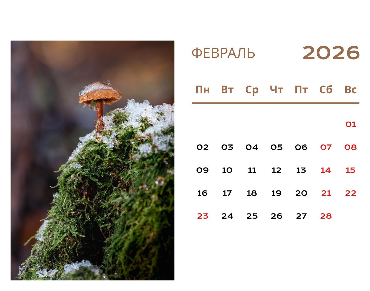 Календарь автора