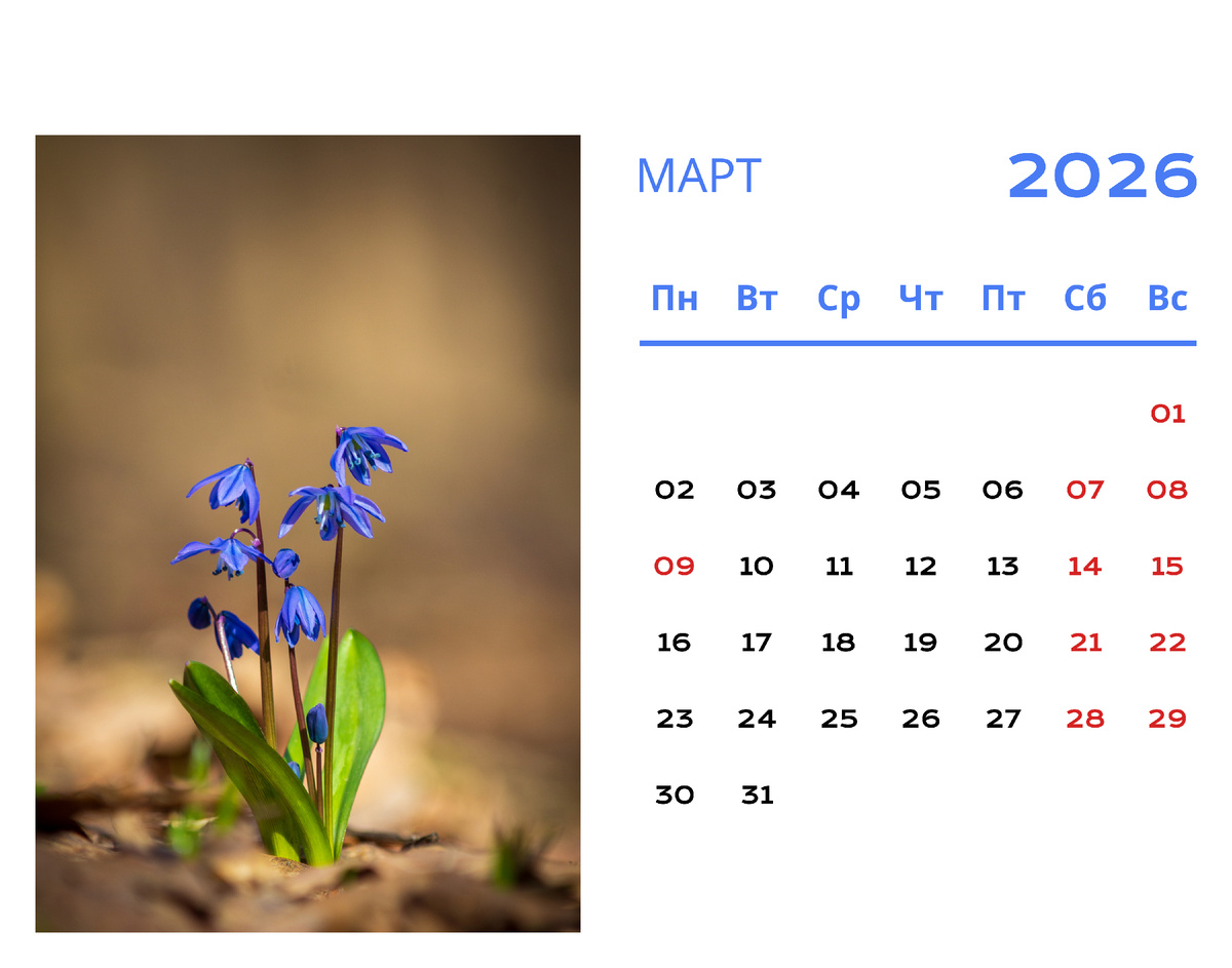 Календарь автора