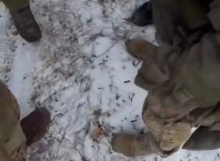 MACAN показал, как учится управлять дронами в армии