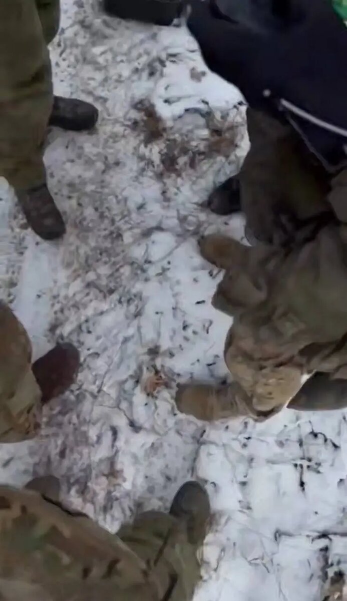    Фото: скриншот видео из соцсетей MACAN