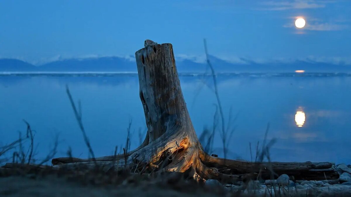   Александр Казаков / Коммерсантъ- Архивное фото