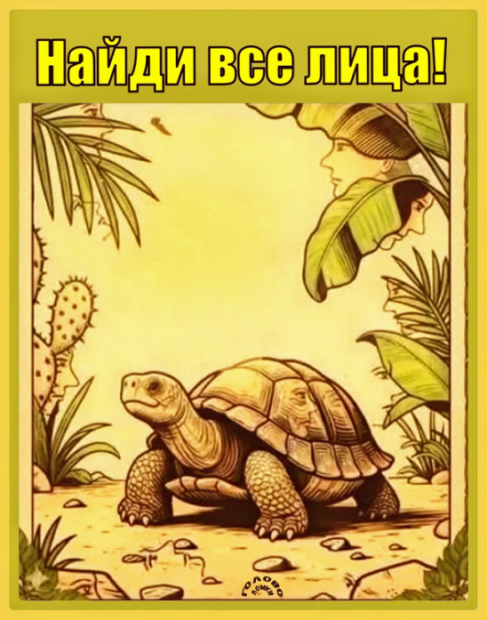 🐢 15 секунд на поиск! Сколько лиц спряталось в рисунке с черепахой?
