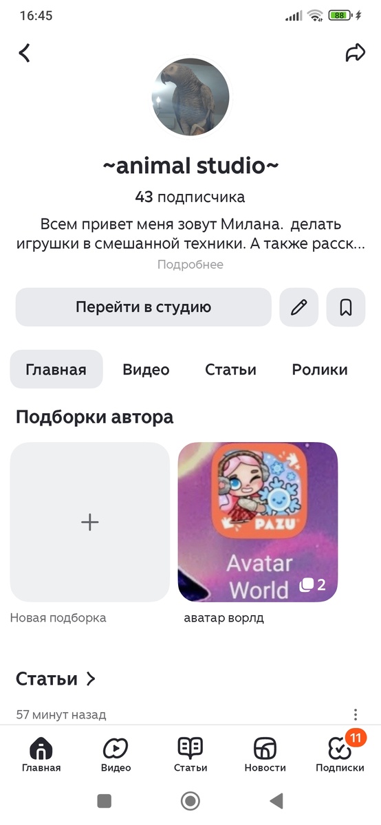 главная страница