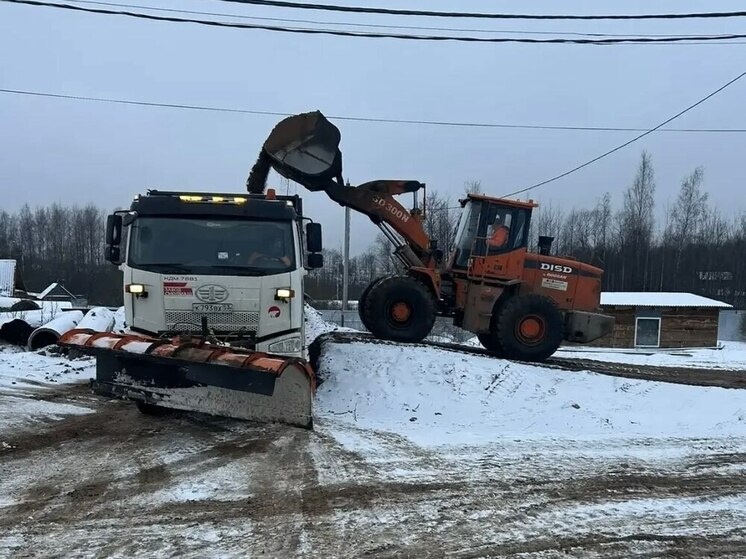     Фото: Минтранс Новгородской области