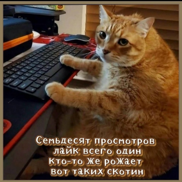 Картинка взята из открытого доступа в сети Инернет