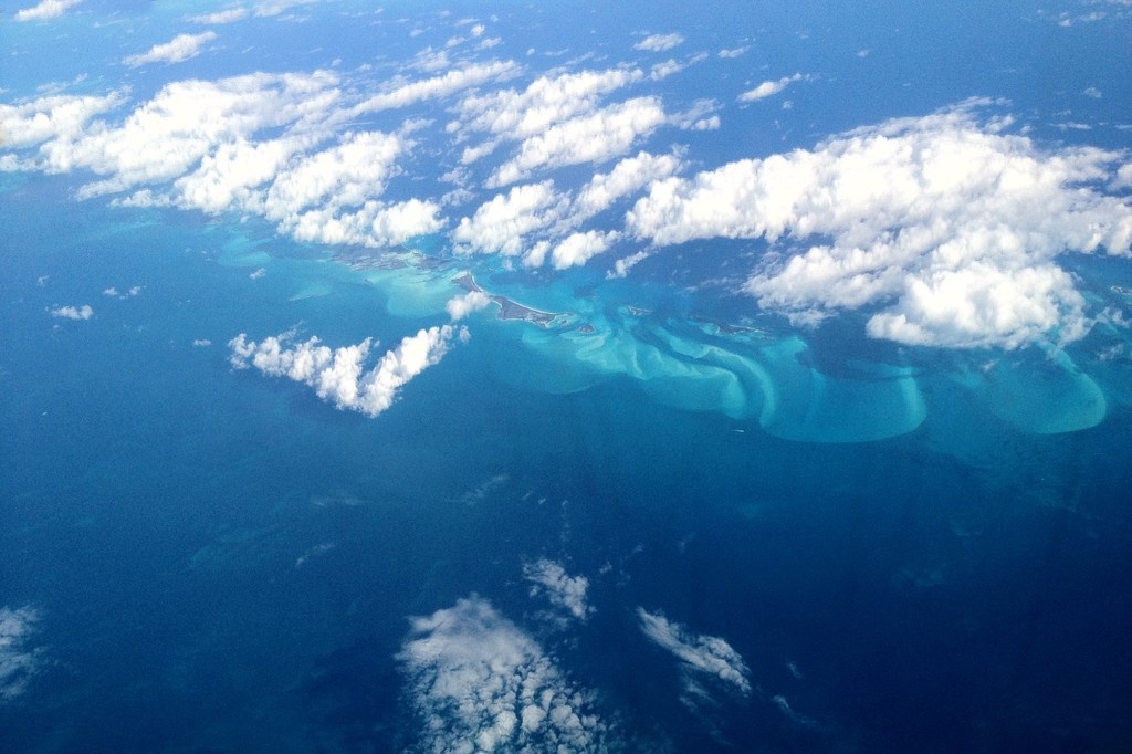    Фото © Wikipedia / David Broad