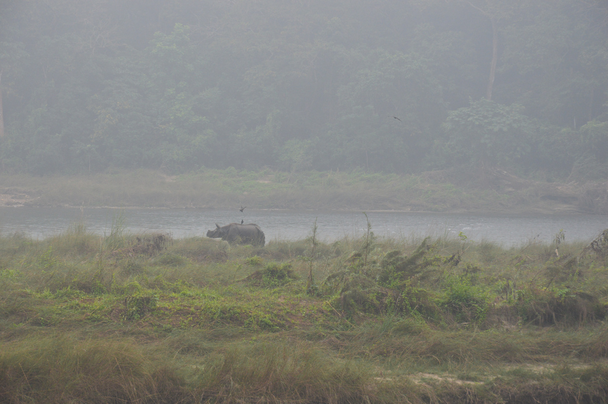Все то же туманное утро))