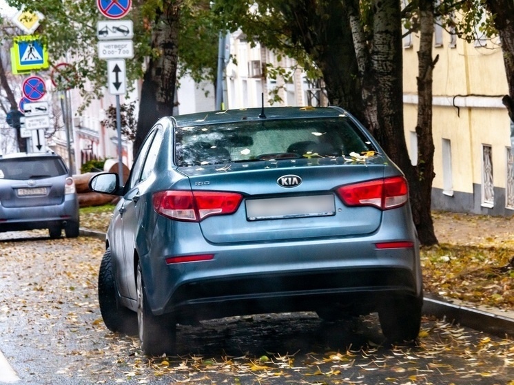     Фото: Svetlana Vozmilova/Global Look Press