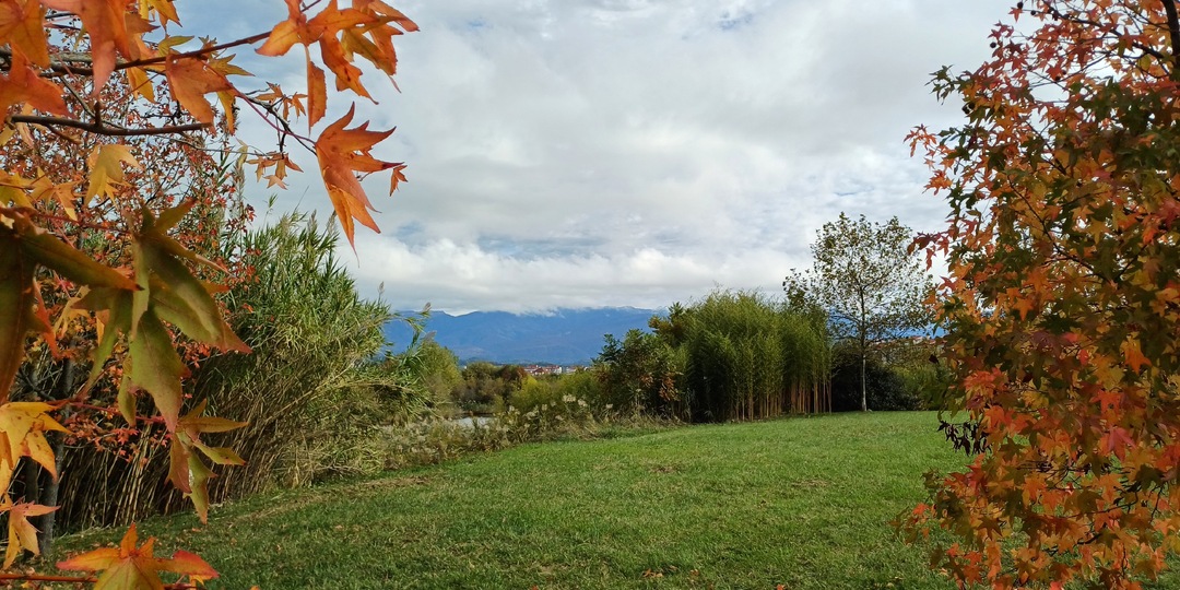 Личный опыт: почему неспешные осенние прогулки в Сочи — отличная идея