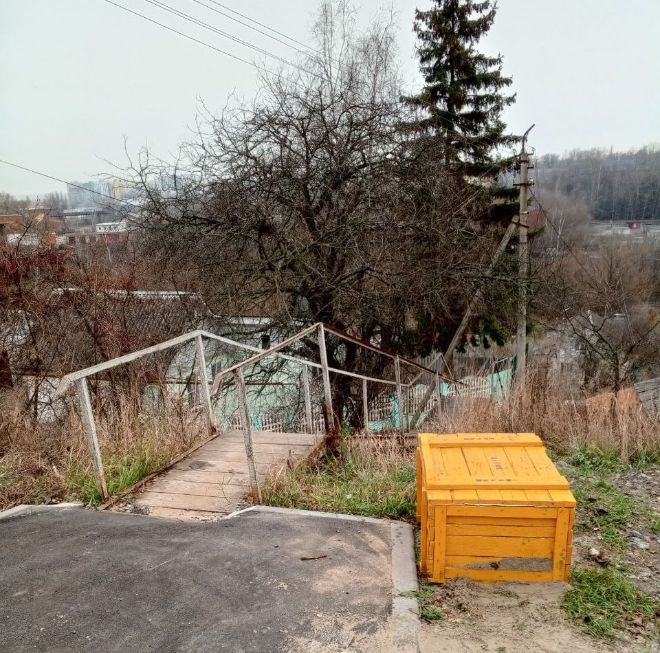 фото: администрация города Курска
