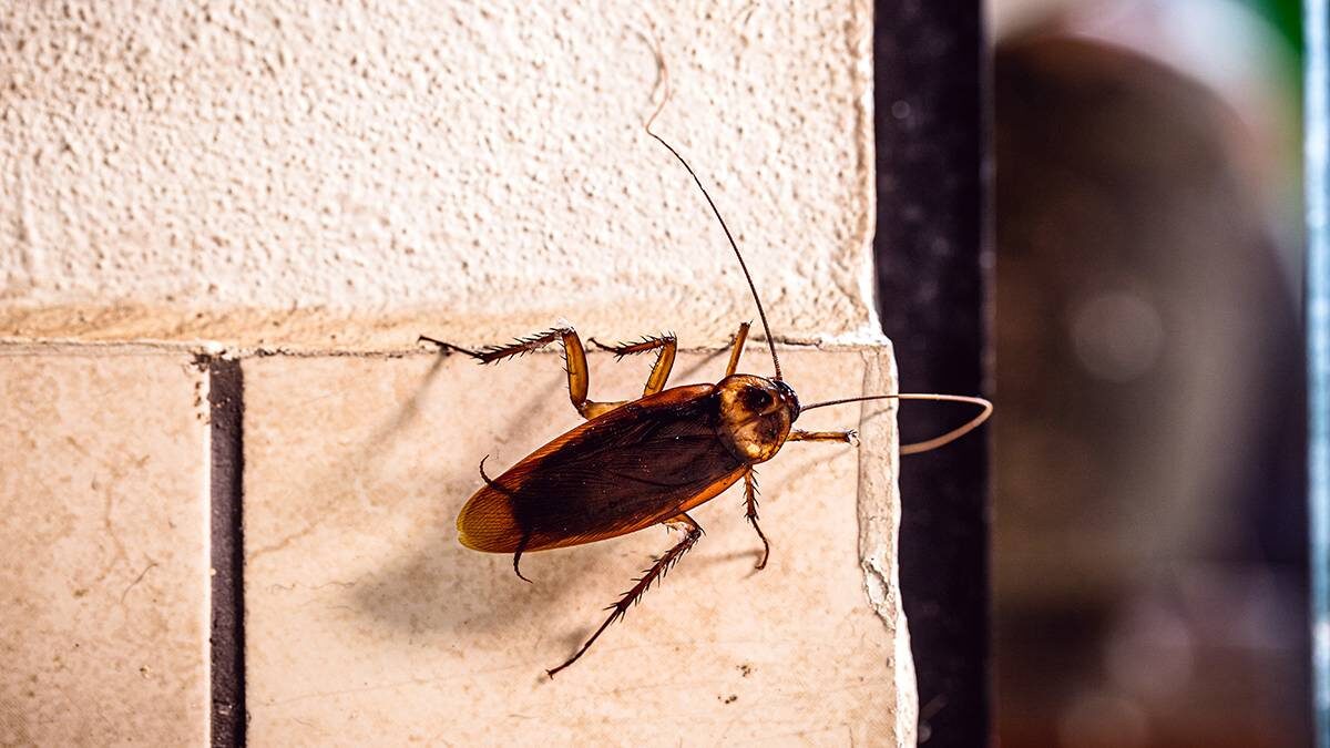    Фото: shutterstock