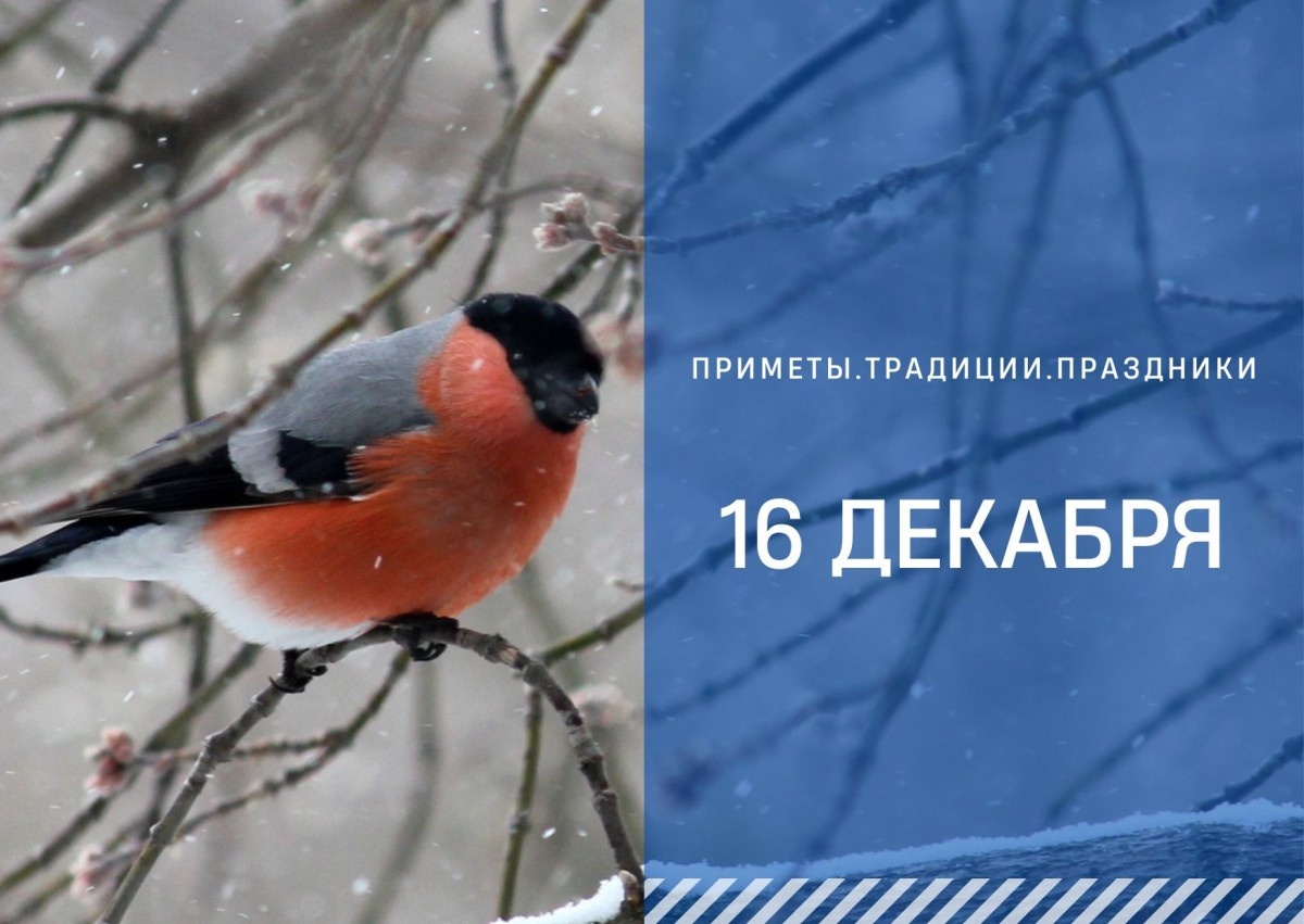   ГТРК "Ставрополье"