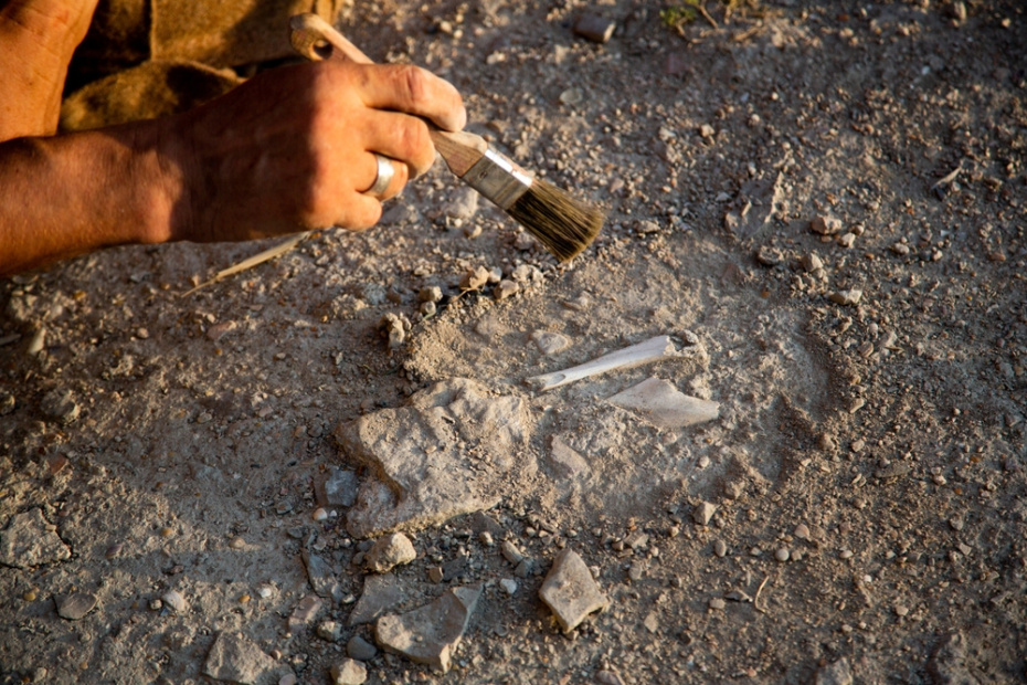    Shutterstock/FOTODOM