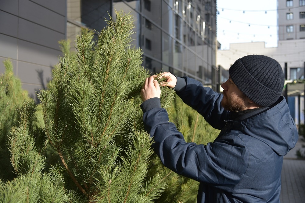     Фото: Виталий ГАРКУША