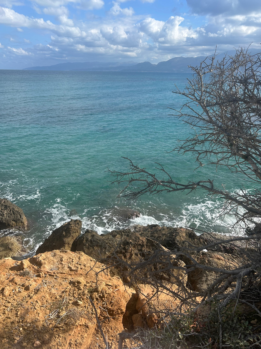 Опять иллюстрирую статью морем (фото автора)