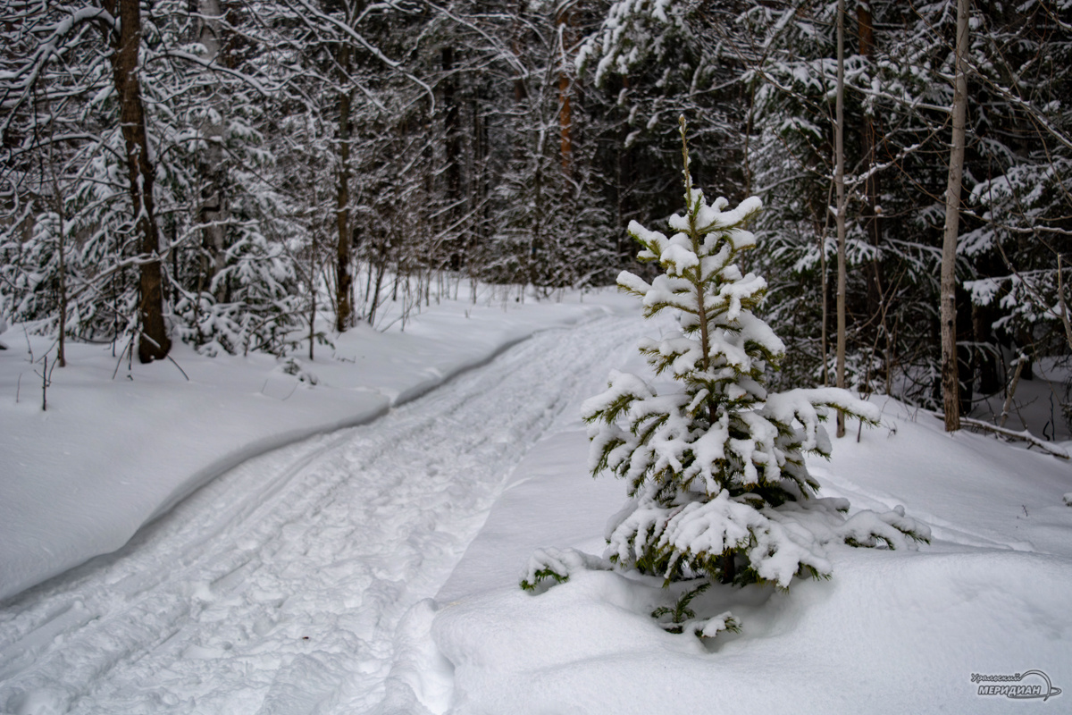    Фото: Галина Ниценкова © ИА «Уральский меридиан»