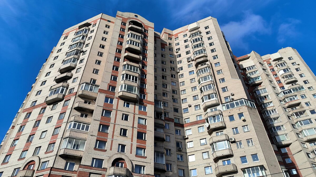    Фото: Maksim Konstantinov/globallookpress.com