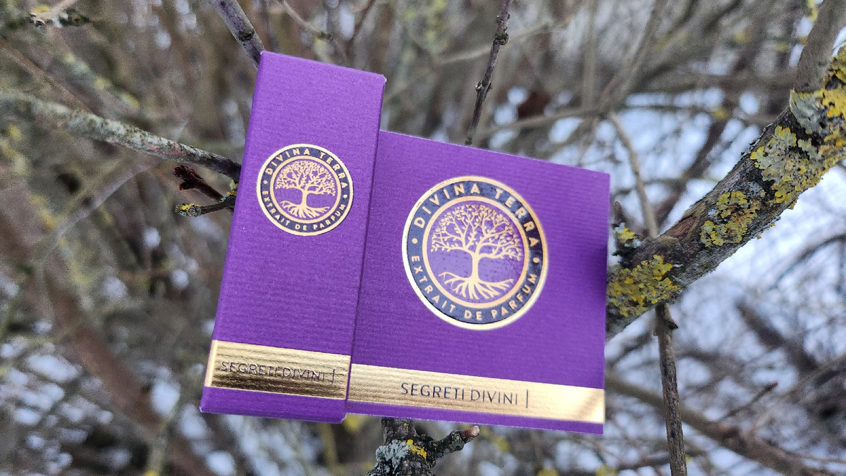 Аккорды и основные ноты в галлерее, листай карусель