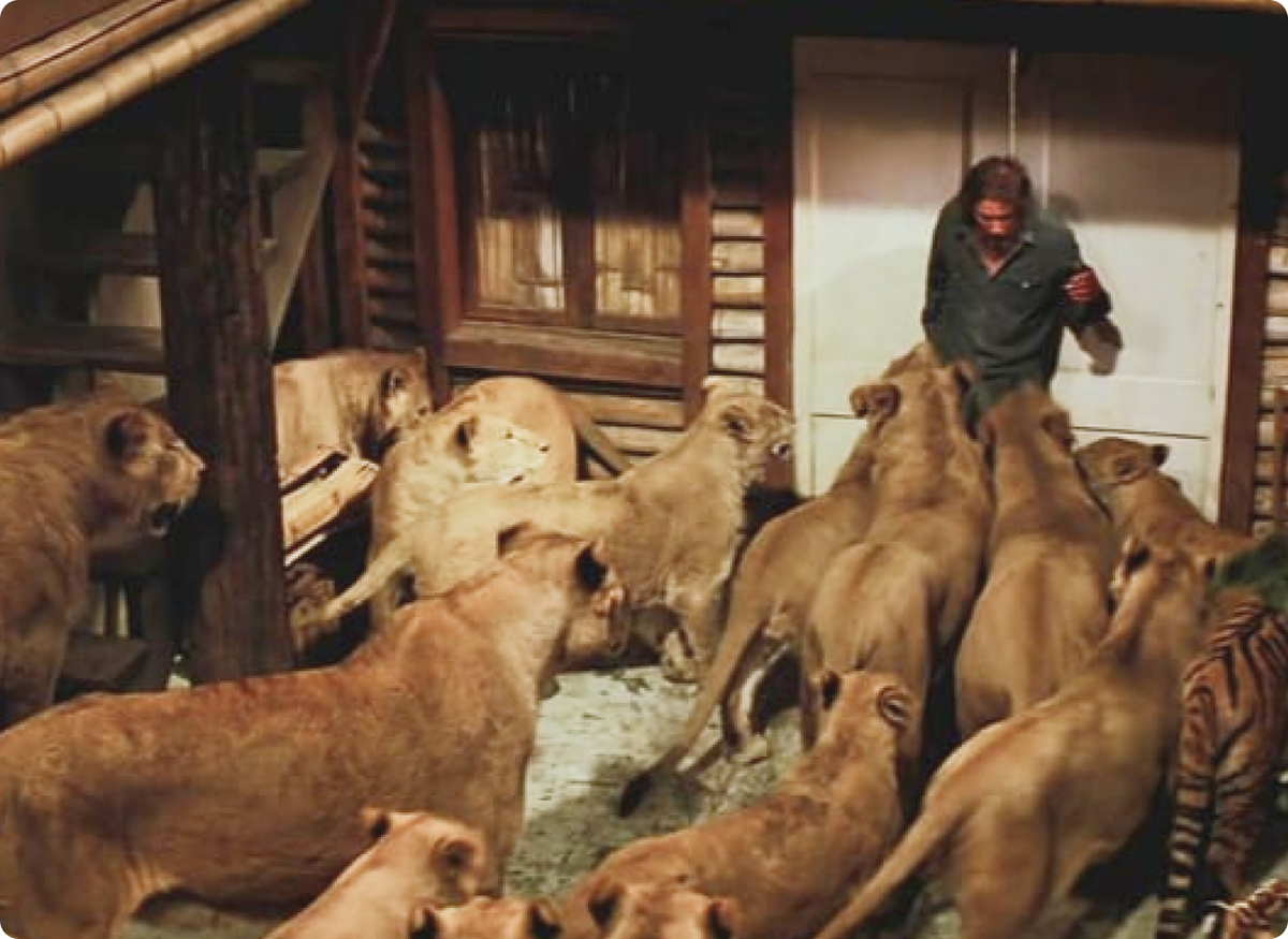 Кадр из фильма «Рев» 1981 | Cтудии производства: American Filmworks, Film Consortium