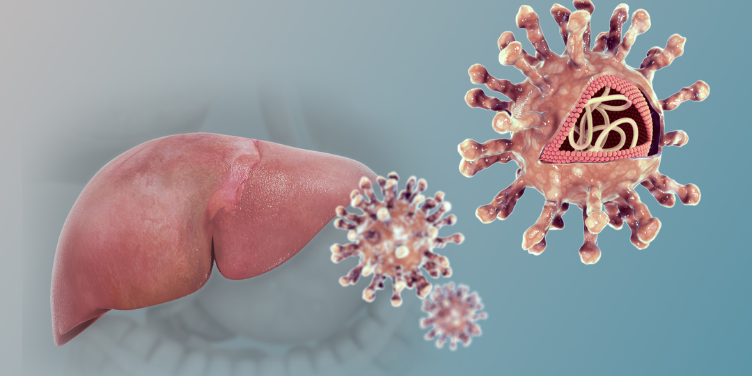 Гепатит В: тихая угроза, которую можно остановить — всё, что нужно знать о вирусе, защите и лечении