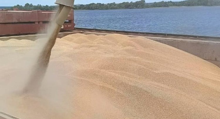    Фото: ФГБУ ЦОК АПК