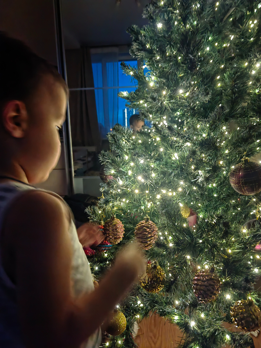 Миша наряжает елку. День первый