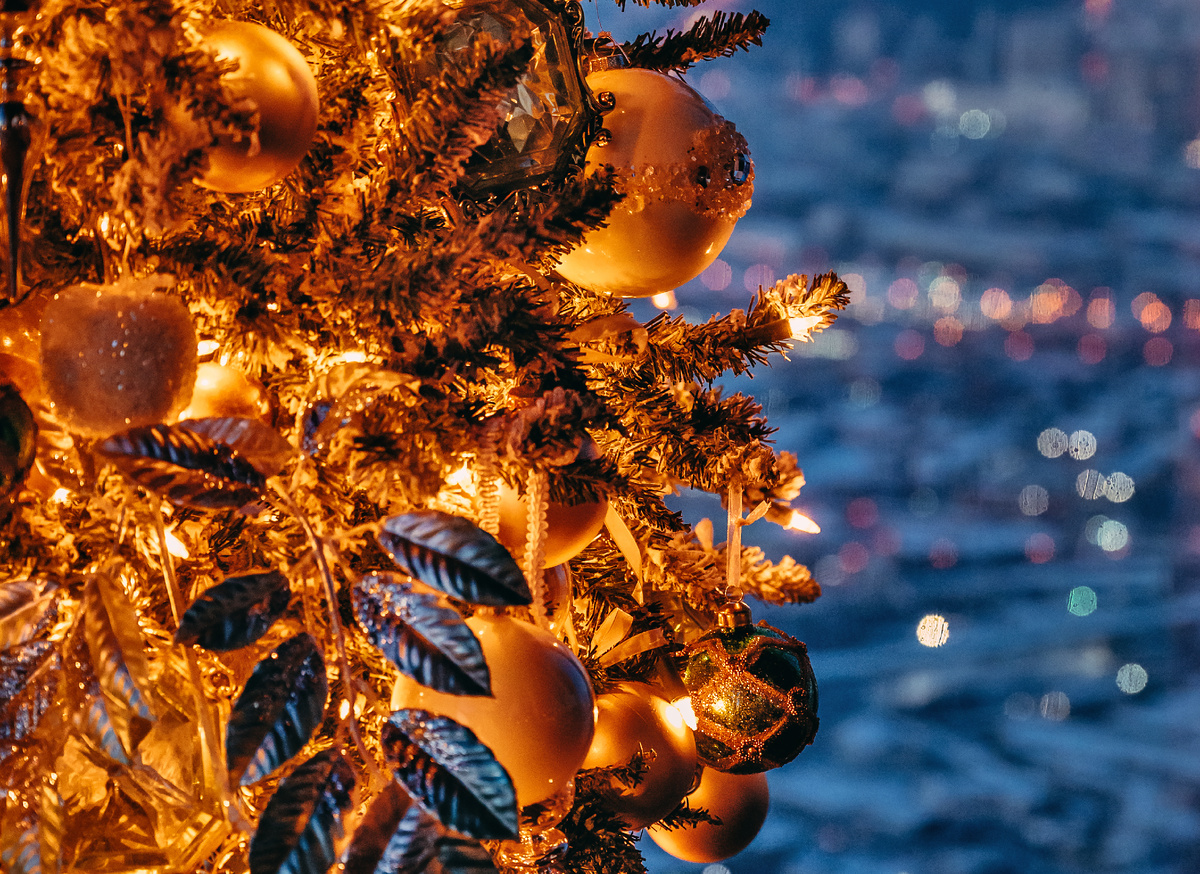 Ёлка в PANORAMA360