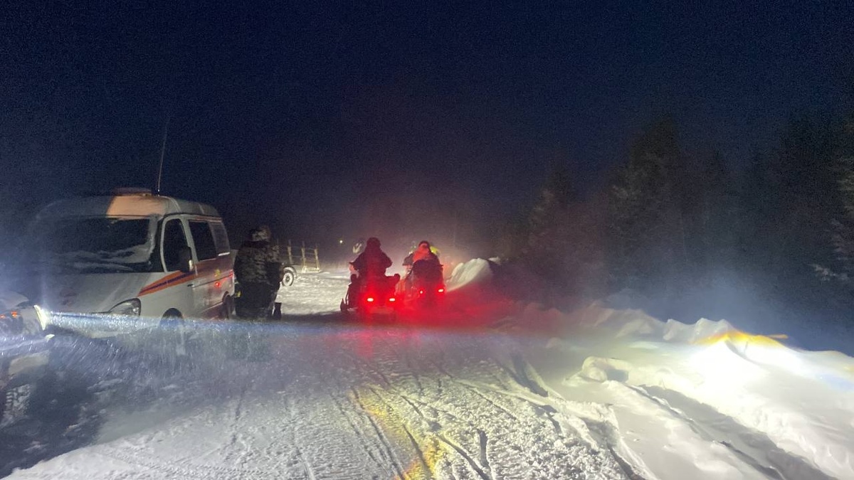 Фото: ПСО "ЛизаАлерт"