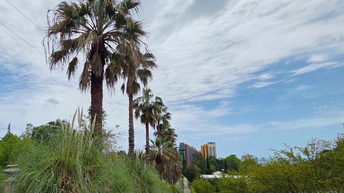    Когда заповедник превращается в бизнес: ущерб исчисляется миллиардами рублей   kubanpress.ru