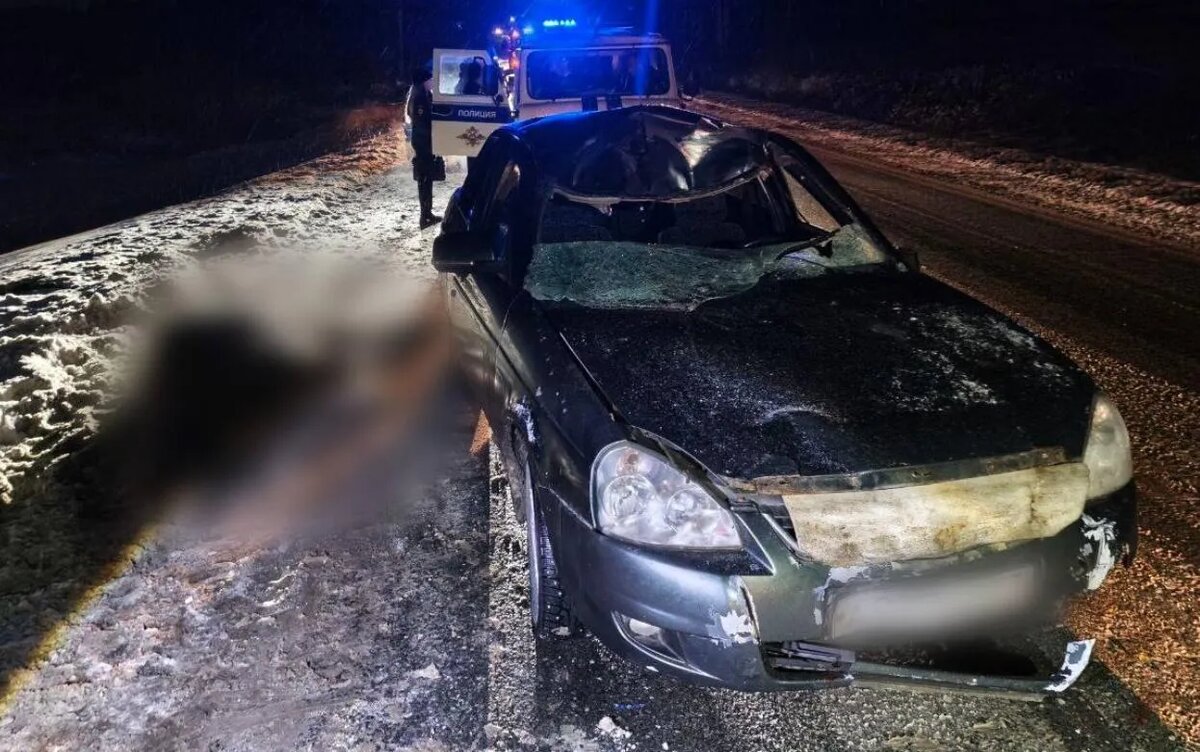    Два человека пострадали в столкновении с лосем в Удмуртии