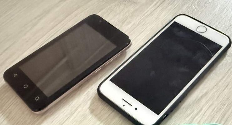    Фото: "Веселовские вести" Веселовские вести