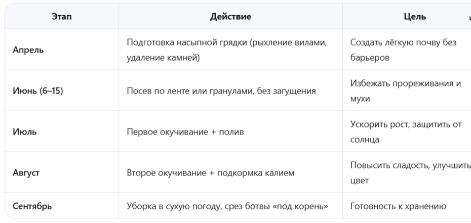 Итоговая стратегия: от подготовки до уборки