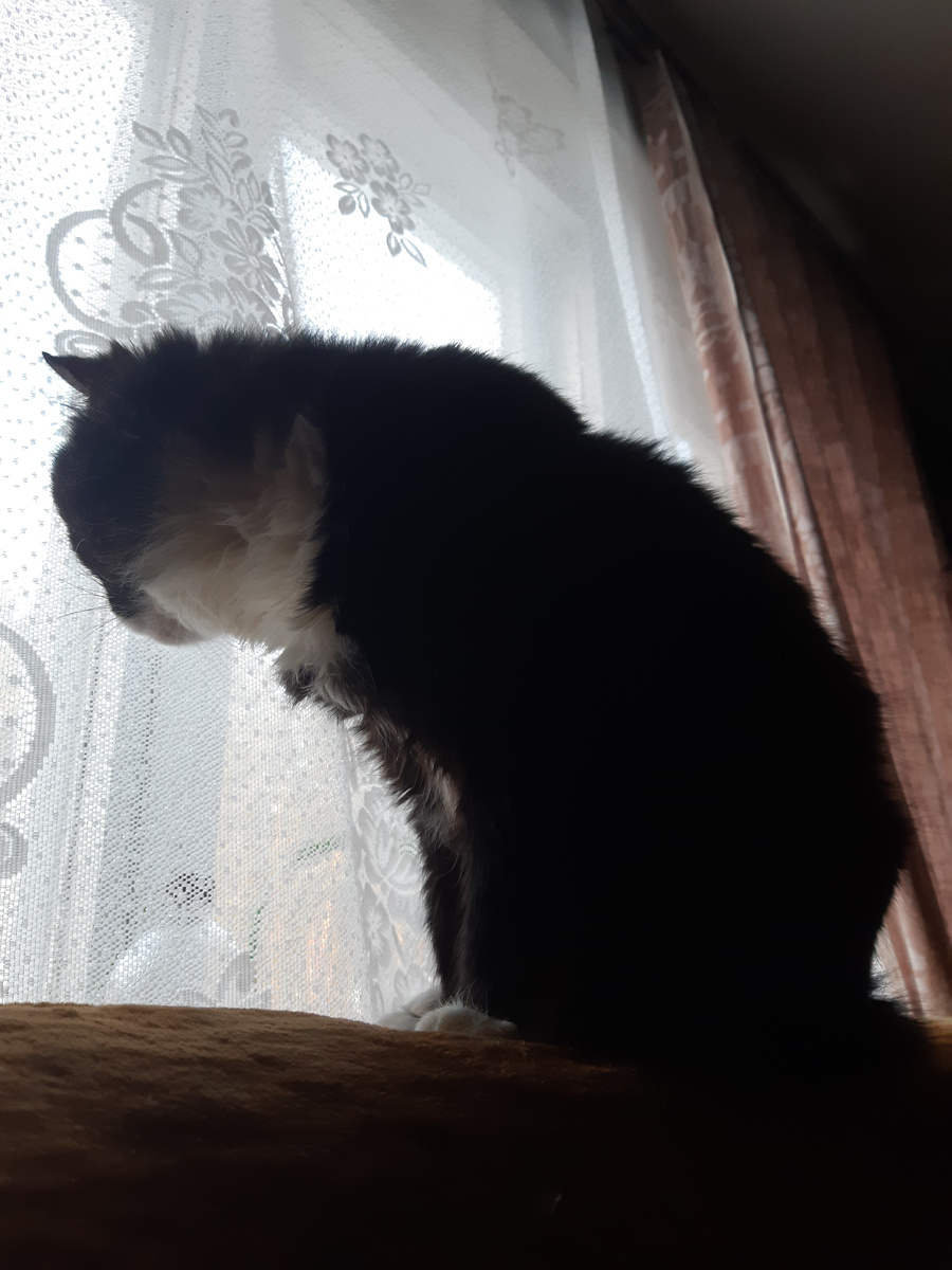 Куда он делся? Невеста вон, лазиит по кустам, шлындрает, делать нечего, где он такую мамзелю откопал