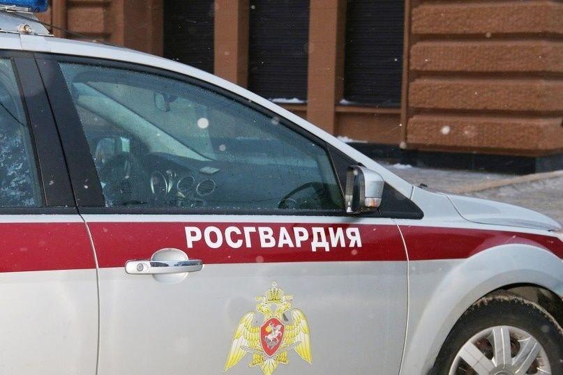 Фото: управление Росгвардии по Петербургу и Ленобласти