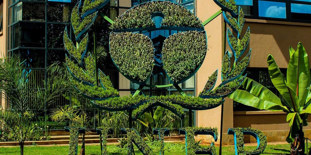 15 декабря – День рождения ЮНЕП