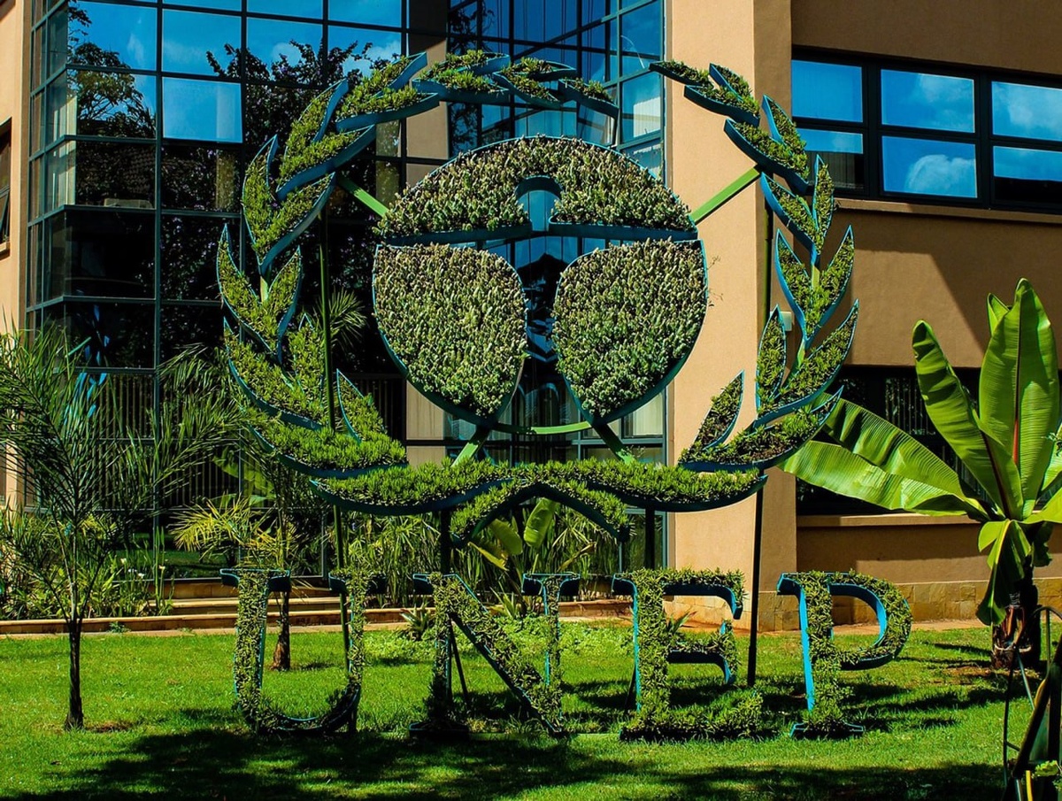 Фото: Интернет