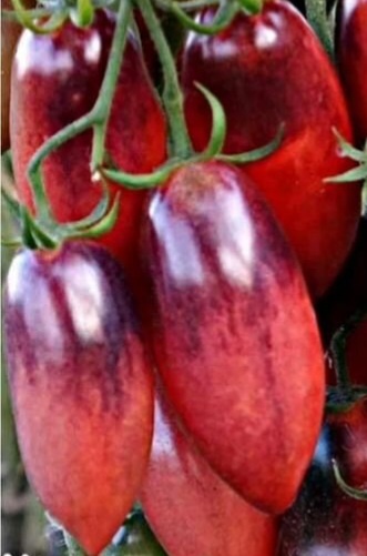 Сливка гурман