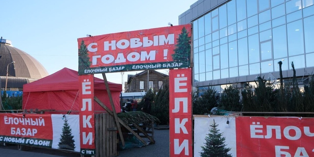 В Астрахани открылись 24 официальных елочных базара