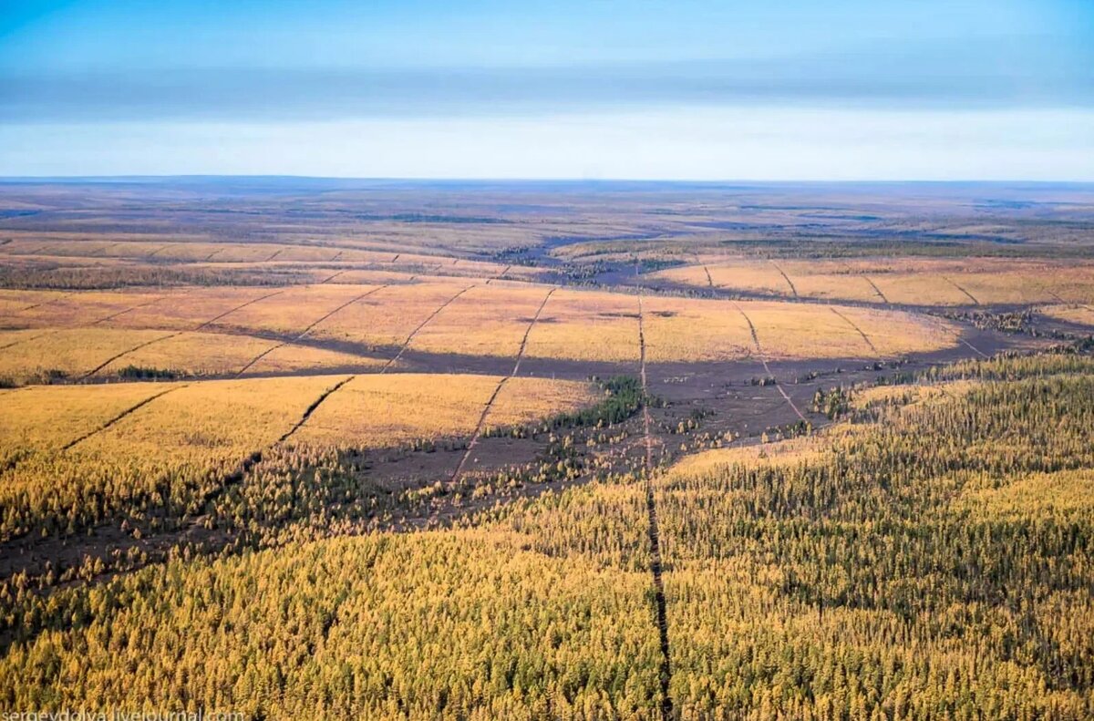 Изображение взято с сайта https://avatars.mds.yandex.net/get-znatoki/1548967/2a00000182bfe6615c4be08b6285440f72e4/orig