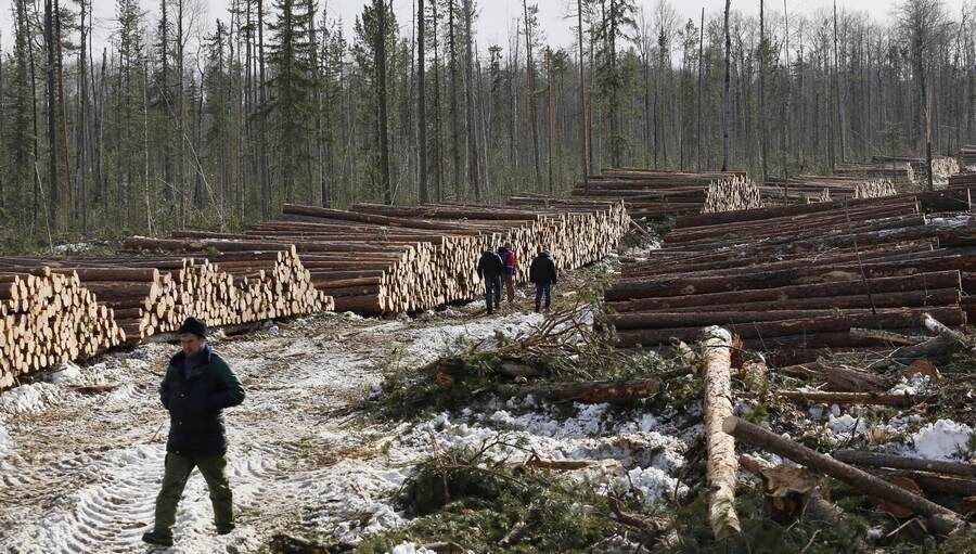 Изображение взято с сайта https://ic.pics.livejournal.com/ilyanaymushin/77611468/11459/11459_900.jpg