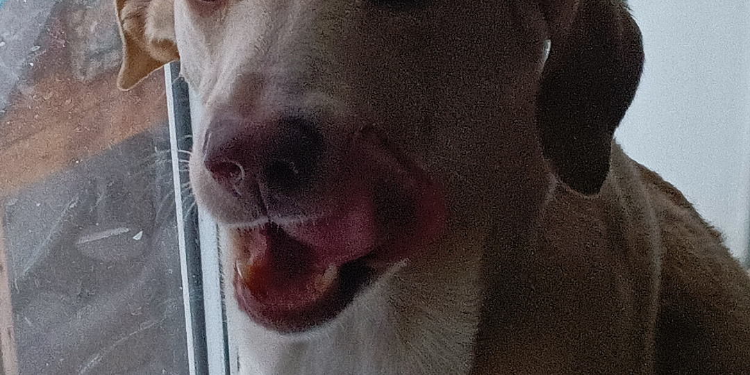 Про "порядочную барышню" Тильду. Наши приколы.