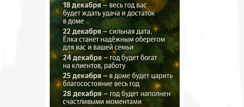    Когда ставить елку, чтобы год был удачнымfreepik