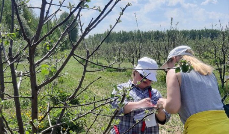    Фото: Владимирский филиал Россельхозцентра