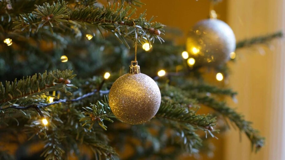    Автор фото: unsplash.com