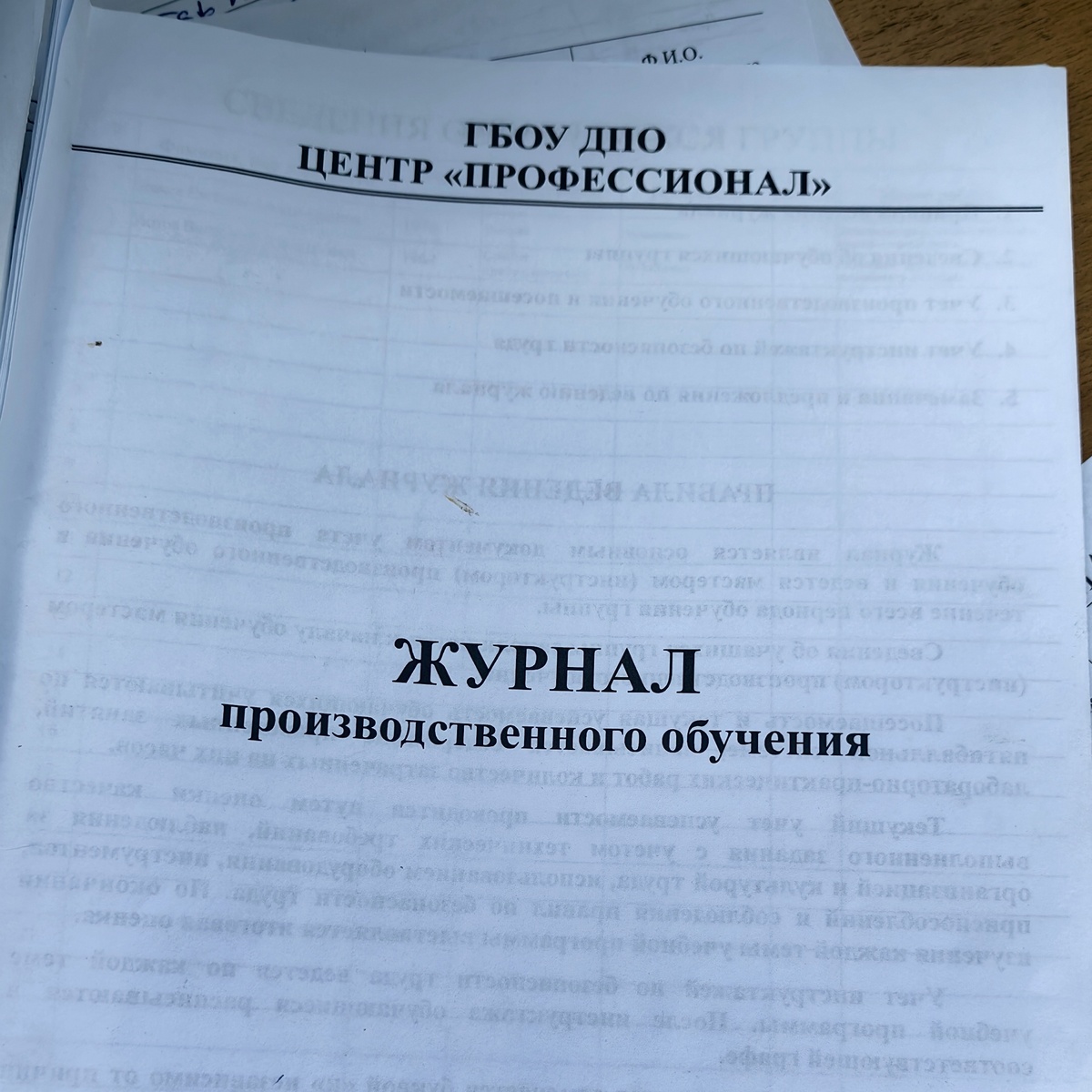 Вот тот самый журнал обучения. Листайте вправо, чтобы посмотреть программу на площадке.