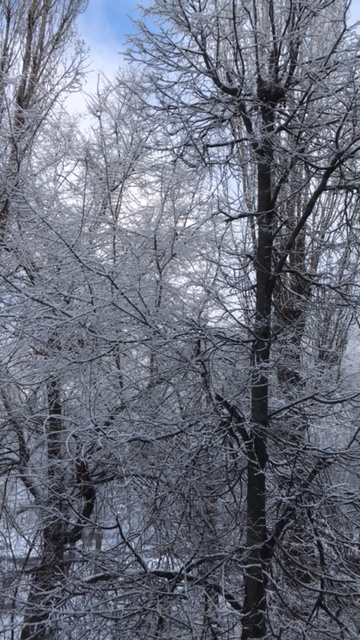 Тут я справилась без дополнительного интеллекта