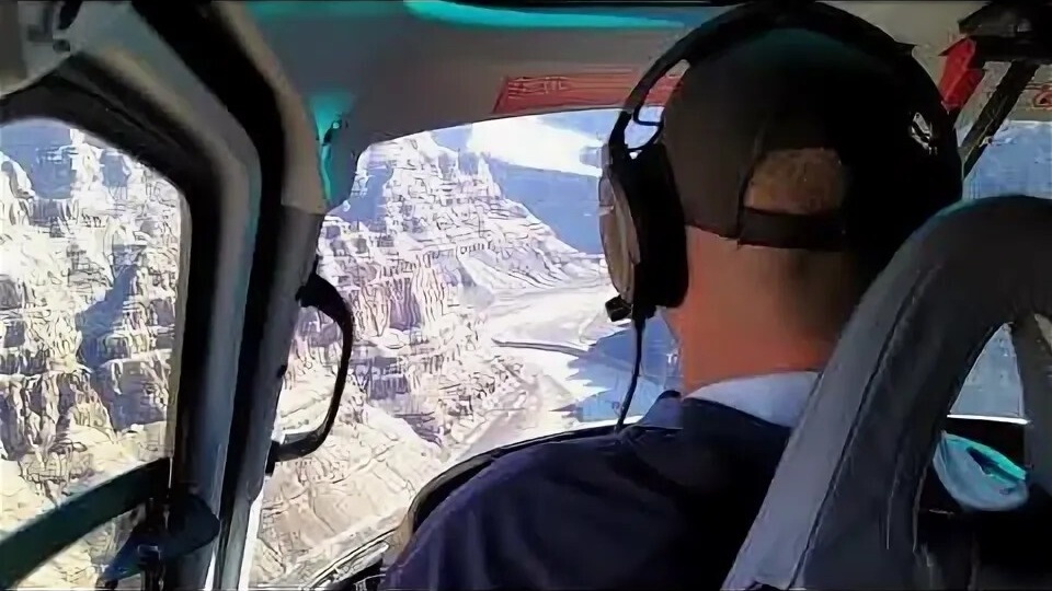 Волки своих не бросают