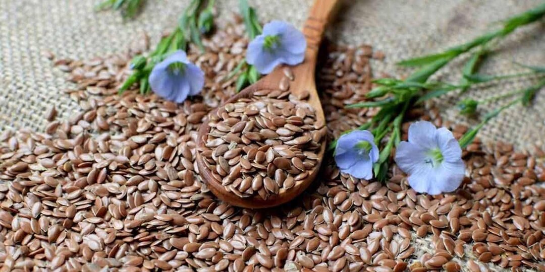 «Золотые крошки здоровья»: как обыкновенные семена льна могут изменить вашу жизнь к лучшему