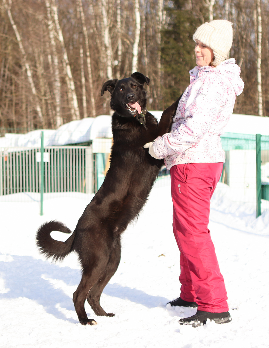 Это не кинологи кто так говорит - это КиноЛОХи